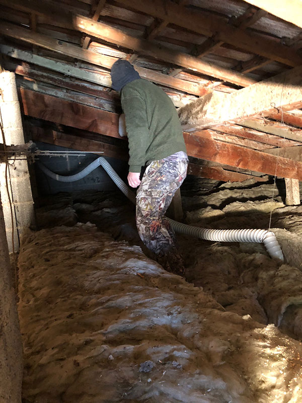 Traitement de charpente par xylophène et injection Artisan Chemith