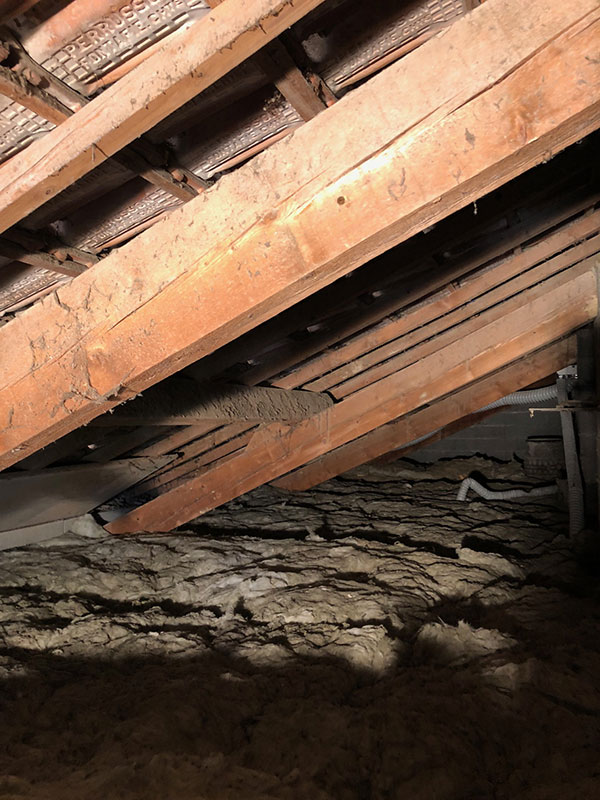 Traitement de charpente par xylophène et injection - Artisan Chemith
